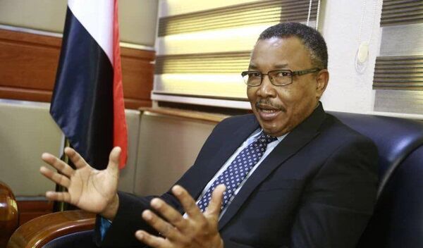 وزير الدولة بوزارة الخارجية السودانية عمر قمر الدين - سبوتنيك عربي