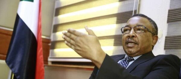 وزير الدولة بالخارجية السودانية عمر قمر الدين - سبوتنيك عربي