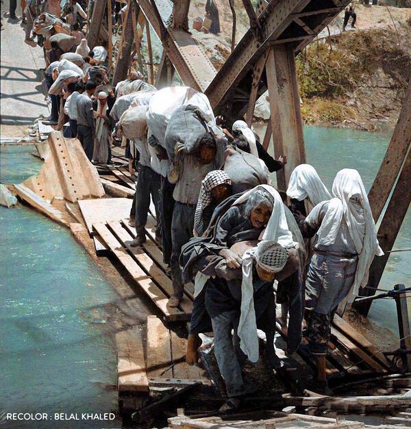 سلسلة من الصور الملونة التي التقطت أثناء أحداث النكبة عام 1948، حيث تظهر المعاناة المؤلمة التي عاشها الأطفال وآباؤهم في تلك المرحلة القاسية من تاريخ فلسطين سلسلة من الصور الملونة التي التقطت أثناء أحداث النكبة عام 1948، حيث تظهر المعاناة المؤلمة التي عاشها الأطفال وآباؤهم في تلك المرحلة القاسية من تاريخ فلسطين - سبوتنيك عربي