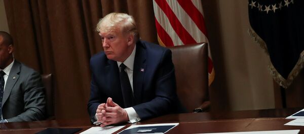 الرئيس الأمريكي دونالد ترامب يعقد اجتماعا في غرفة مجلس الوزراء بالبيت الأبيض في واشنطن - سبوتنيك عربي