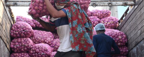 بصل - سبوتنيك عربي