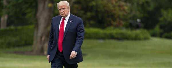 الرئيس الأمريكي دونالد ترامب، ميشيغان، الولايات المتحدة 21 مايو 2020 - سبوتنيك عربي