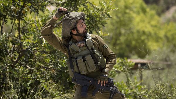 الضفة الغربية، الجيش الإسرائيلي، مايو 2020 - سبوتنيك عربي