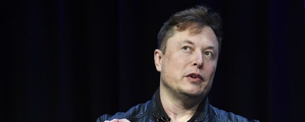 إيلون ماسك - سبوتنيك عربي