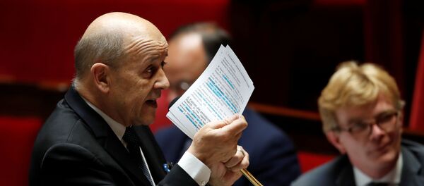 جان إيف لو دريان جان إيف لو دريان - سبوتنيك عربي