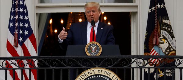 الرئيس الأمريكي دونالد ترامب - سبوتنيك عربي