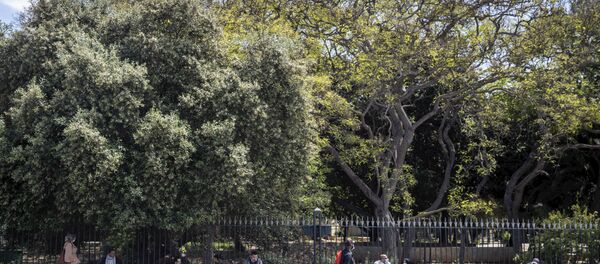 الرباط، المغرب، مايو/ أيار 2020 - سبوتنيك عربي