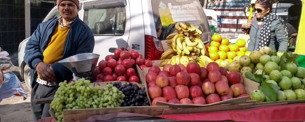 Fruits vendor at the new spot in Delhi's Mehrauli constituency - سبوتنيك عربي