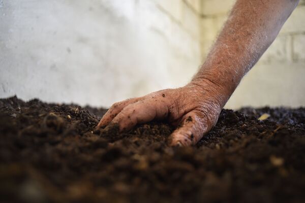 أول مزرعة دود في سوريا... مبادرة فردية لمواجهة الحصار... فيديو وصور - سبوتنيك عربي
