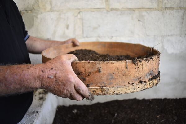 أول مزرعة دود في سوريا... مبادرة فردية لمواجهة الحصار... فيديو وصور - سبوتنيك عربي