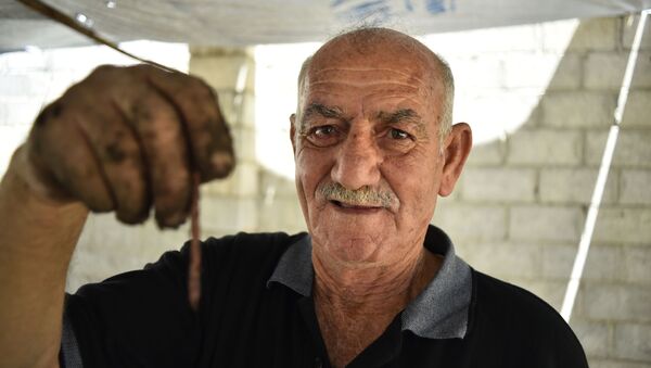 مزارع سوري ينشئ أول مزرعة دود في سوريا - سبوتنيك عربي