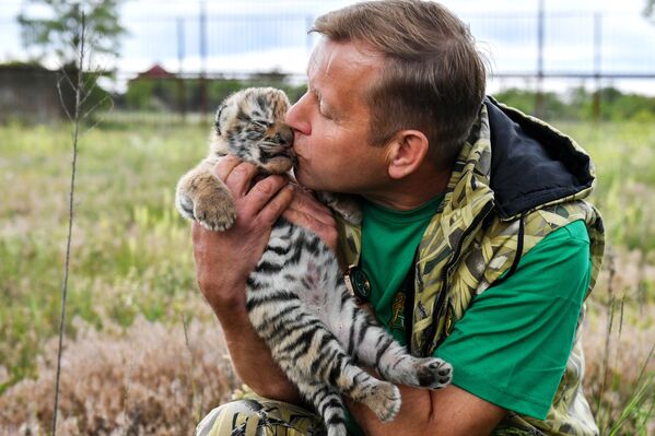 أوليغ زوبكوف، مدير سفاري بارك تايغان في القرم الروسية - سبوتنيك عربي