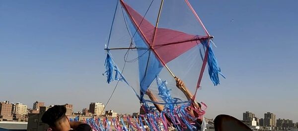 طائرات ورقية - سبوتنيك عربي