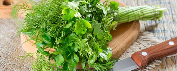 نبتة عين الجرادة مع البقدونس - سبوتنيك عربي