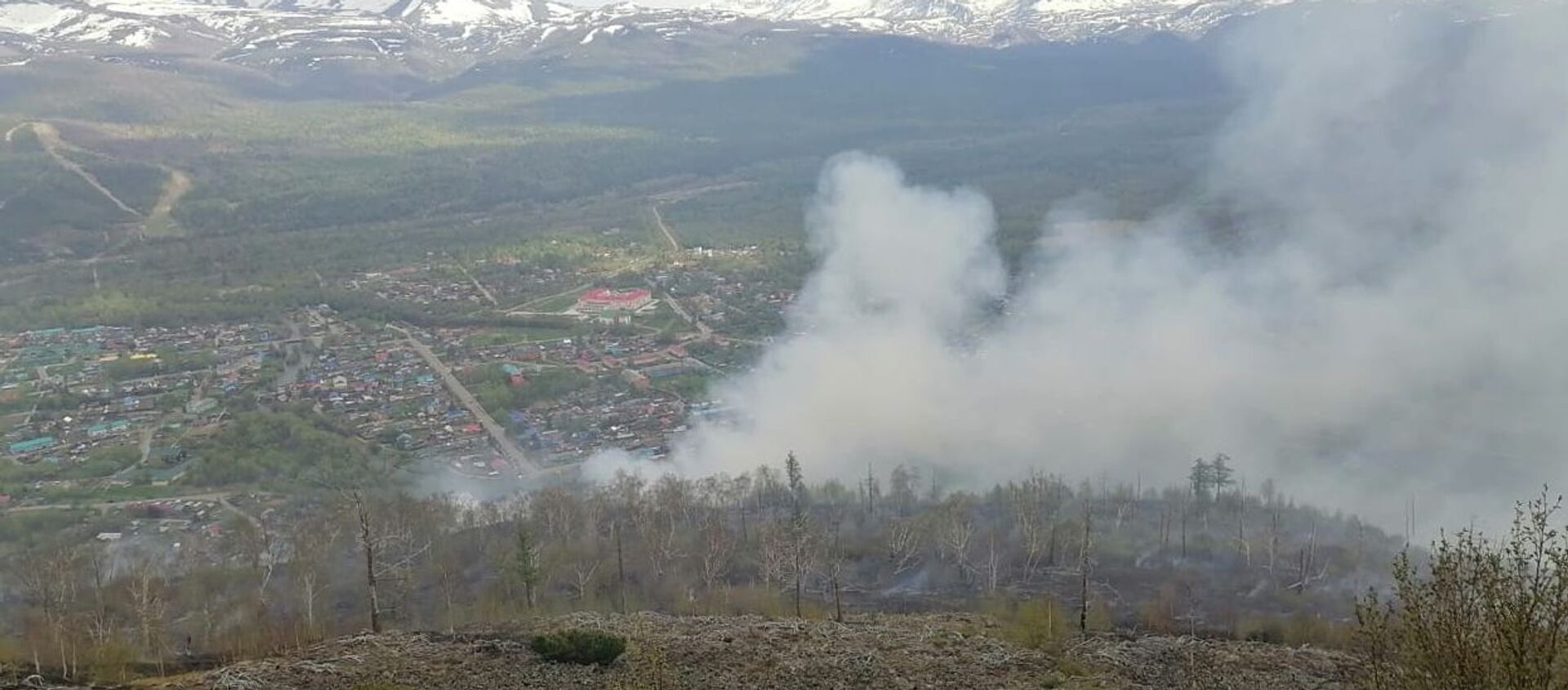 حرائق في غابات كامتشاتكا، روسيا 18 يونيو 2020 حرائق في غابات كامتشاتكا، روسيا 18 يونيو 2020 - سبوتنيك عربي, 1920, 07.07.2021