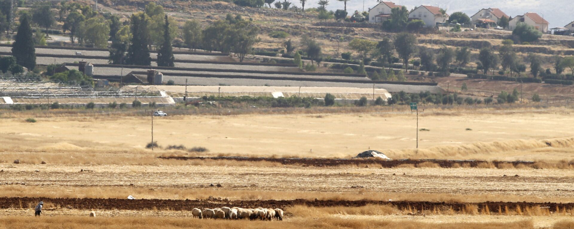 مستوطنات الضفة الغربية المحتلة، مستوطنة باكوت بالقرب من غور الأردن، 18 يونيو 2020 - سبوتنيك عربي, 1920, 02.08.2023
