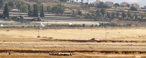 مستوطنات الضفة الغربية المحتلة، مستوطنة باكوت بالقرب من غور الأردن، 18 يونيو 2020 - سبوتنيك عربي