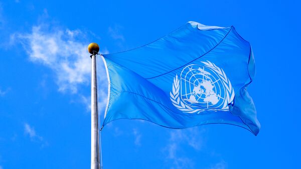 علم الأمم المتحدة، 2019 - سبوتنيك عربي