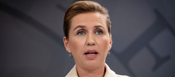 رئيسة وزراء الدنمارك ميت فريدريكسن رئيسة وزراء الدنمارك ميت فريدريكسن - سبوتنيك عربي