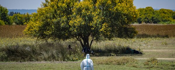 شمال مدينة الرباط، المغرب، يونيو 2020 - سبوتنيك عربي