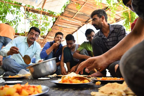 قمر الدين... عبق غوطة دمشق الفريد يفوح مجددا قمر الدين... عبق غوطة دمشق الفريد يفوح مجددا - سبوتنيك عربي