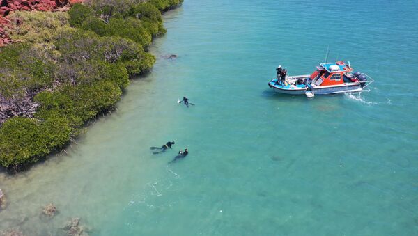 علماء آثار وباحثون من جامعة فليندرز وجامعة ويسترن أستراليا وجامعة جيمس كوك يستكشفون مواقع تحت البحر، تعود إلى آلاف السنين عندما كان قاع البحر أرضا جافة، في أستراليا، 2019. - سبوتنيك عربي