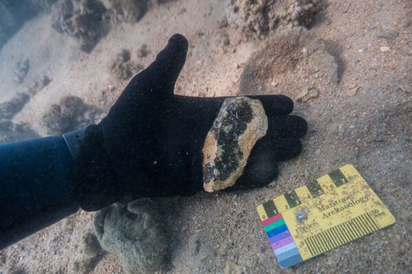 علماء آثار وباحثون من جامعة فليندرز وجامعة ويسترن أستراليا وجامعة جيمس كوك يستكشفون مواقع تحت البحر، تعود إلى آلاف السنين عندما كان قاع البحر أرضا جافة، في أستراليا، 2019. - سبوتنيك عربي