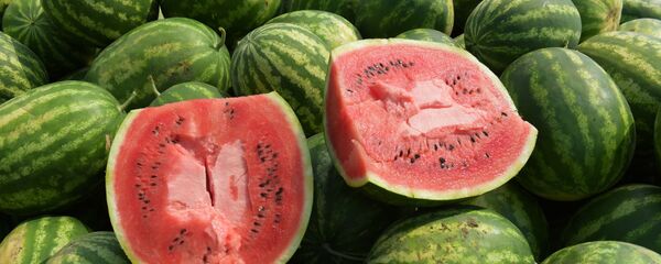 البطيخ - سبوتنيك عربي