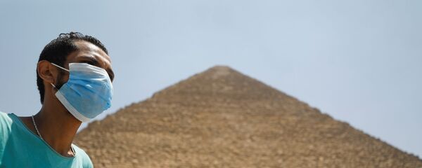 القاهرة، مصر يوليو 2020 - سبوتنيك عربي