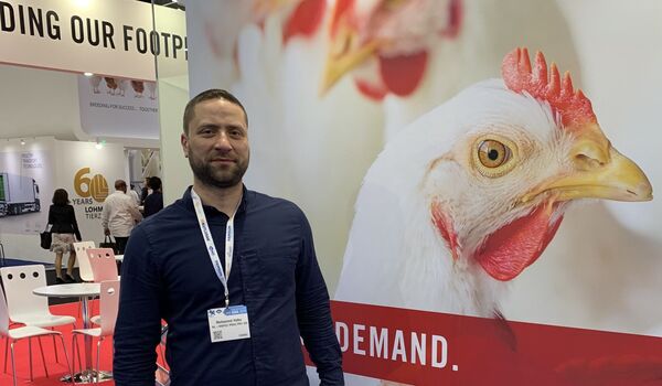 خبير اقتصادي سوري يعلن عن خطة إنقاذ في ظل تدهور قطاع الدواجن - سبوتنيك عربي