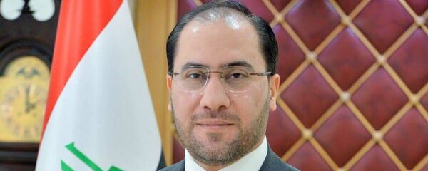 المتحدث الرسمي بإسم الخارجية العراقية، أحمد الصحاف - سبوتنيك عربي